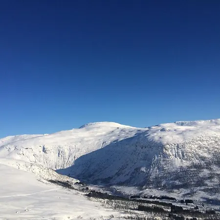 Apartment Voss- Myrkdalen