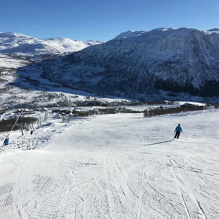 Voss- Myrkdalen Lejlighed