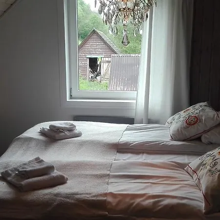 Daire Voss- Myrkdalen